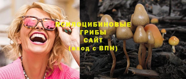 ПСИЛОЦИБИНОВЫЕ ГРИБЫ Покровск
