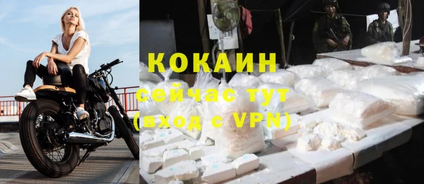 гашик Покачи