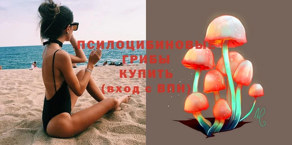 гашик Покачи