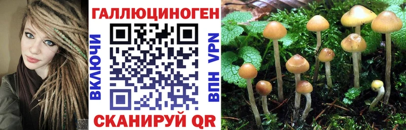 Псилоцибиновые грибы ЛСД  магазин продажи   Туринск 