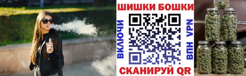 Бошки Шишки план Туринск